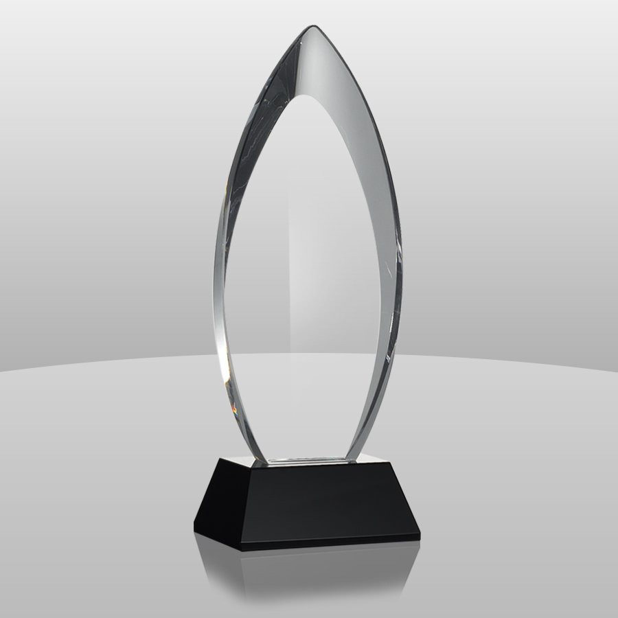 Radiant Kindle Award | CR270
