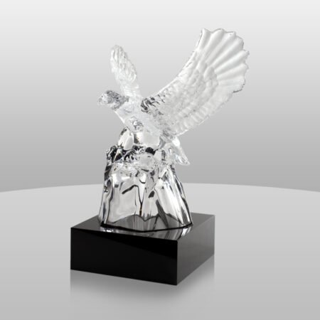 Radiant Eagle Award | CR500